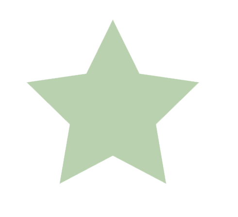 stella icona verde